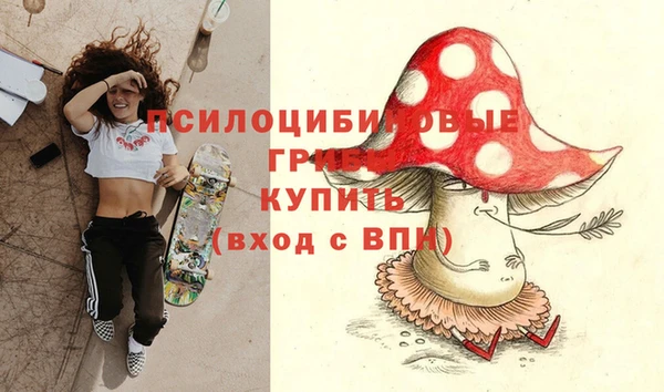 винт Алексин